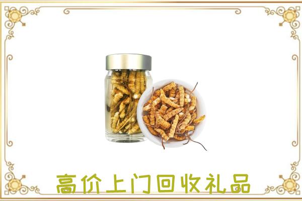 莱芜周边回收虫草